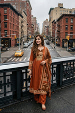 Gorgeous designer cotton suit set