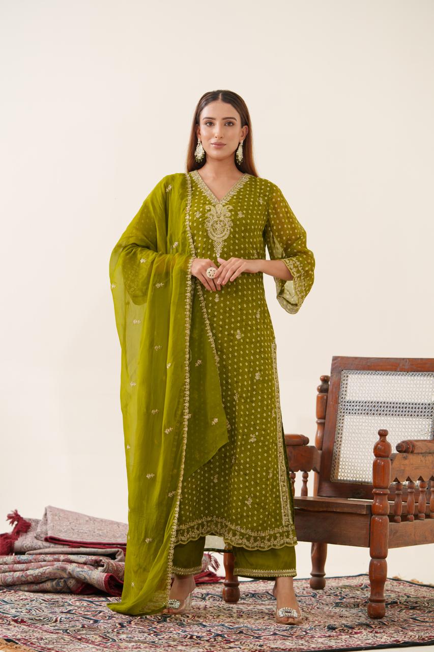 Pretty organza full suit set