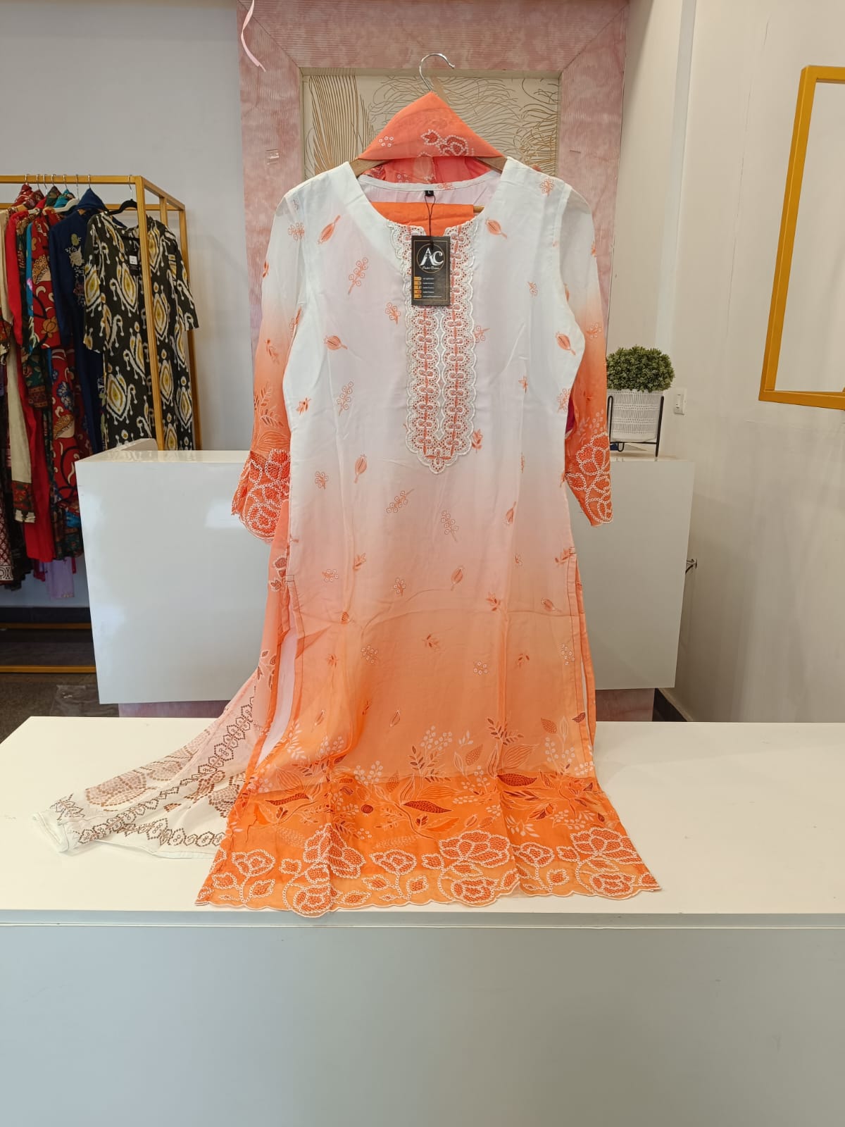 Pretty Organza Lining embroidered suit set