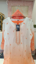 Pretty Organza Lining embroidered suit set