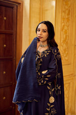 Wow Mul Chanderi gold embroidered suit set in blue