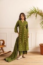 Fully embroidered cotton suit set in green