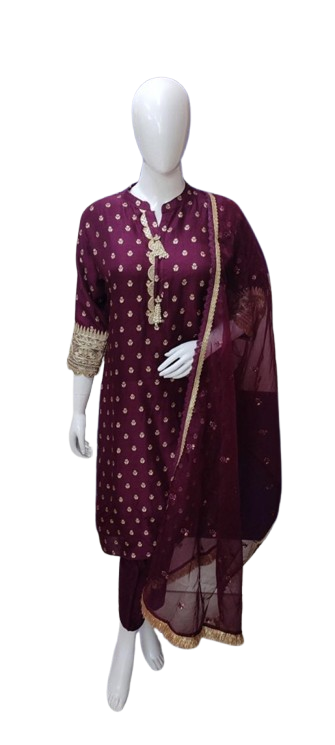 Pretty silk suit set with intricate detailing