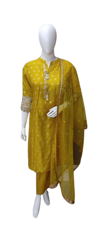 Pretty silk suit set with intricate detailing