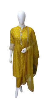 Pretty silk suit set with intricate detailing