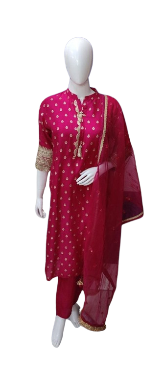 Pretty silk suit set with intricate detailing