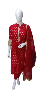 Pretty silk suit set with intricate detailing