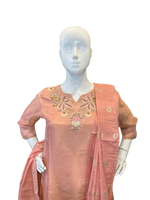 Beautiful shimmer tissue suit set with pretty handwork