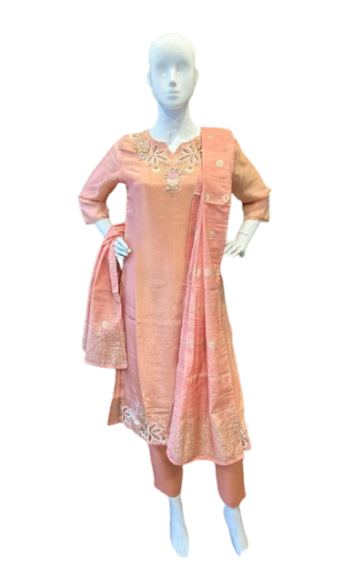 Beautiful shimmer tissue suit set with pretty handwork