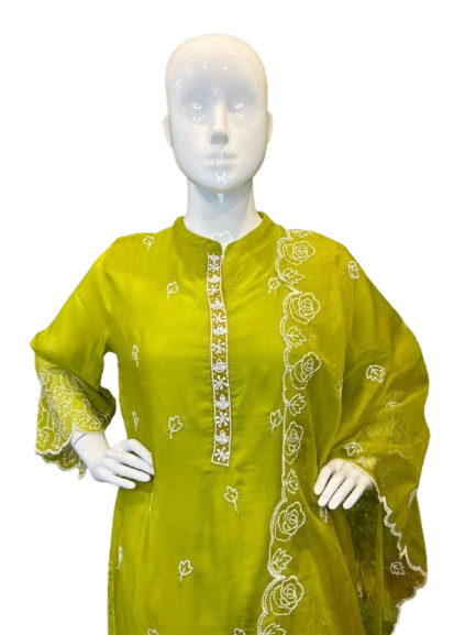 Soft organza beautiful embroidered suit set