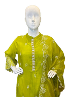 Soft organza beautiful embroidered suit set