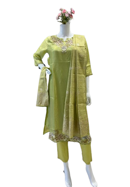 Beautiful shimmer tissue suit set with pretty handwork