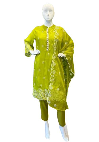 Soft organza beautiful embroidered suit set