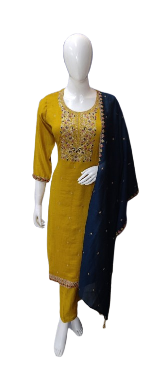 Pretty silk with Zari and intricate detailing suit set