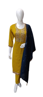 Pretty silk with Zari and intricate detailing suit set