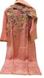 Shimmer tissue fully embroidered suit set