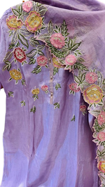 Shimmer tissue fully embroidered suit set