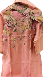 Shimmer tissue fully embroidered suit set