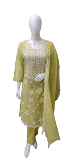 Soft soft fully embroidered Mul Chanderi