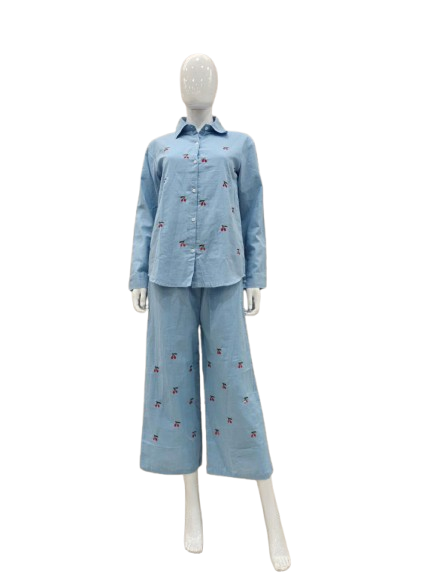 Ice blue embroidered co ord set