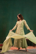 Pure organza appliqué work suit set in green