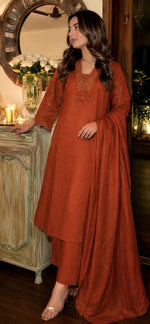 Pretty cotton heavy embroidered sleeve suit set in rust