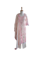 Wow!! Most stunning Organza suit set comes with lining