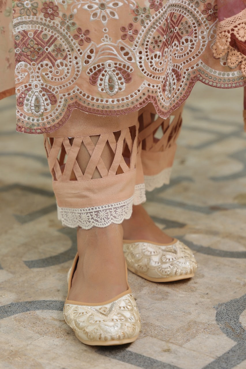 Premium digital printed shifli hand work