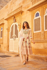 Wow handloom cotton with heavy embroidery on yoke and brush painted all over the piece
