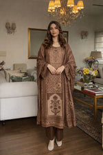 Pakistani placement suit set in premium linen