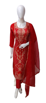 Wow silk suit set paired with organza dupatta