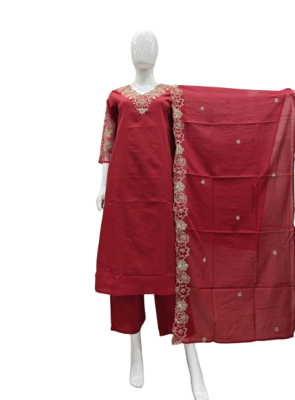 Beautiful V neck zari details suit set