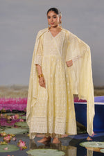 Premium chikankari full suit in yellow